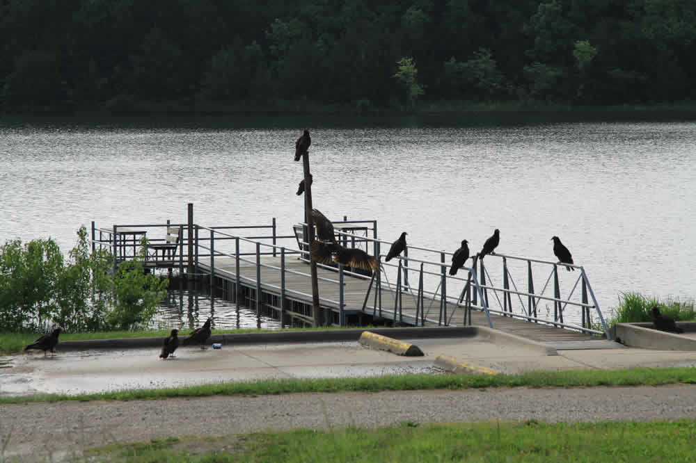 Running Around Baldwin City, Kansas